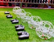 独家揭秘,期双色球蓝,号预测,江苏体彩,江苏体彩网,江苏体彩网官网,体育彩票,体彩大乐透,竞彩足球,体彩公益