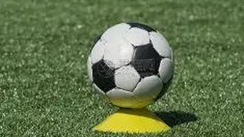 【彩梦启航】蛇年141期双色球精准预测：专家倾囊相授红蓝球秘籍，全年公益助力中奖梦！