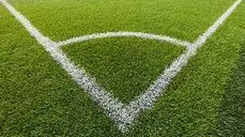 江苏体彩网 资讯 111729 a1o