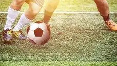 【揭秘独中靶心】3D26028号码精选：一注三胆028，中奖秘籍大放送！