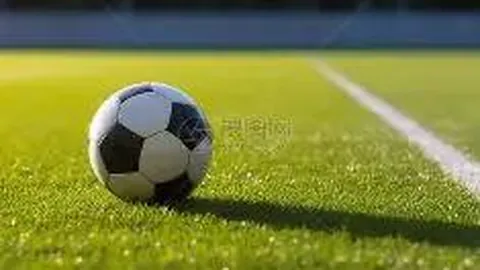 [一尾流莺独门秘籍]2026013期大乐透精准预测：六码必中秘选——03、09、10、18、30、31，不容错过！