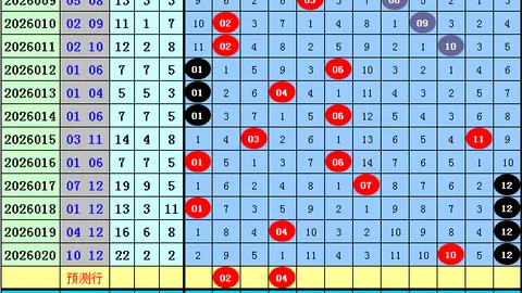 双色球第2026023期红蓝球预测：专家质合分析精选前区十码
